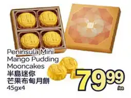 T&T Supermarket Peninsula Mini Mango Pudding Mooncakes offer