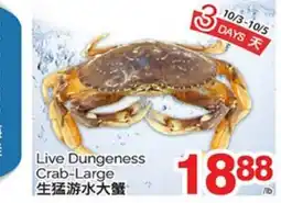 T&T Supermarket LIVE DUNGENESS CRAB LARGE offer