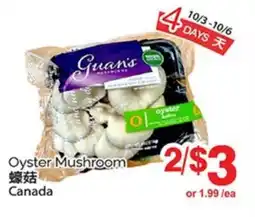 T&T Supermarket Oyster Mushroom offer