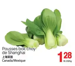 T&T Supermarket POUSSES BOK CHOY DE SHANGHAI offer