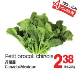 T&T Supermarket PETIT BROCOLI CHINOIS offer