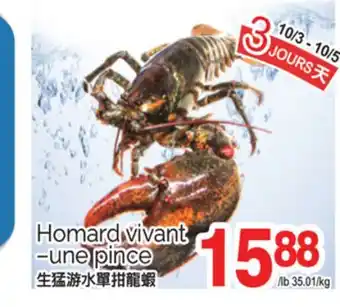 T&T Supermarket HOMARD VIVANT -UNE PINCE offer