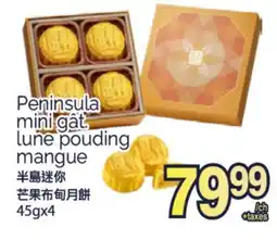 T&T Supermarket PENINSULA MINI GÂT LUNE POUDING MANGUE, 45gx4 offer