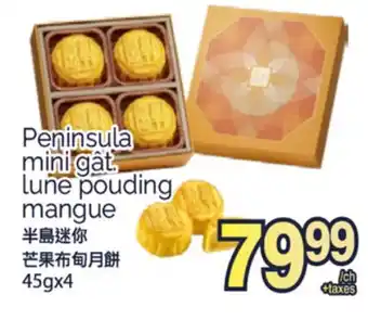 T&T Supermarket PENINSULA MINI GÂT LUNE POUDING MANGUE, 45gx4 offer