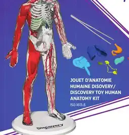 Canadian Tire DISCOVERY TOY HUMAN ANATOMY KIT offer