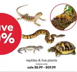 Petsmart Save 10% select reptiles & live plants instore only offer