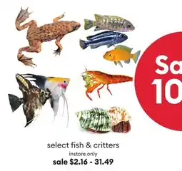 Petsmart Save 10% select fish & critters offer