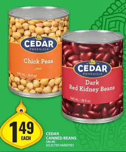 Food Basics Cedar canned beans offer