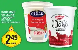 Food Basics Hans dahi or cedar yogourt offer