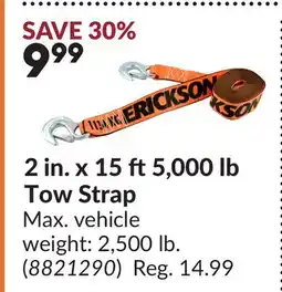 Princess Auto 2 in. x 15 ft5,000 lb Tow Strap offer