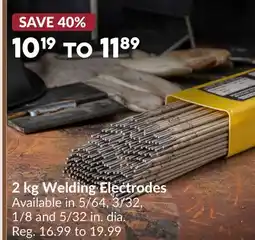 Princess Auto 2 kg Welding Electrodes offer