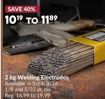Princess Auto 2 kg Welding Electrodes offer