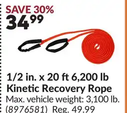 Princess Auto 1/2 in. x 20 ft6,200 lb Kinetic Recovery Rope offer