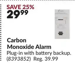 Princess Auto Carbon Monoxide Alarm offer