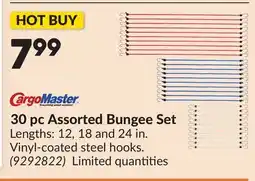 Princess Auto 30 pc Assorted Bungee Set offer