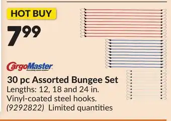 Princess Auto 30 pc Assorted Bungee Set offer