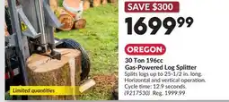 Princess Auto 30 Ton 196cc Gas-Powered Log Splitter offer