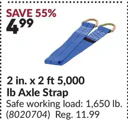 Princess Auto 2 in. x 2 ft5,000 lb Axle Strap offer