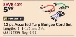 Princess Auto 12 pc Assorted Tarp Bungee Cord Set offer