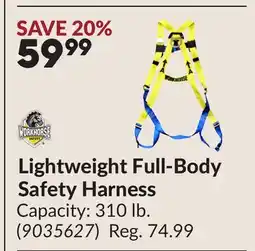 Princess Auto Lightweight Full-Body Safety Harness offer