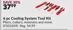 Princess Auto 6 pc Cooling System Tool Kit offer