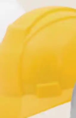 Princess Auto Class E Hard Hats offer