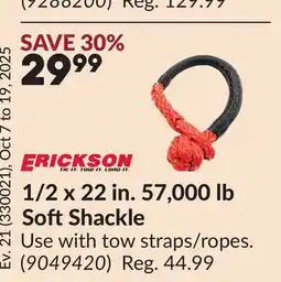 Princess Auto 1/2 x 22 in. 57,000 lb SoftShackle offer