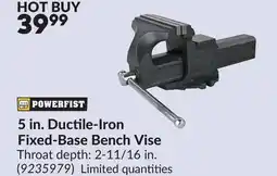 Princess Auto 5 in. Ductile-Iron Fixed-Base Bench Vise offer