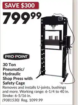 Princess Auto 30 Ton Pneumatic/ Hydraulic Shop Press with Safety Cage offer
