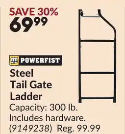 Princess Auto Steel Tail Gate Ladder offer