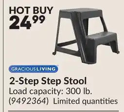 Princess Auto 2-Step Step Stool offer