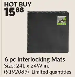 Princess Auto 6 pc Interlocking Mats offer