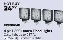 Princess Auto 4 pk 1,800 Lumen Flood Lights offer
