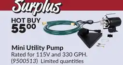 Princess Auto Mini Utility Pump offer