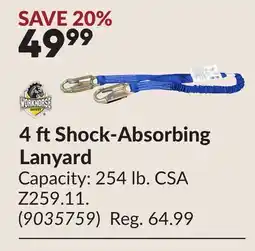 Princess Auto 4 ft Shock-Absorbing Lanyard offer