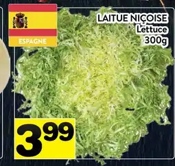 Supermarché PA LAITUE NIÇOISE | Lettuce offer