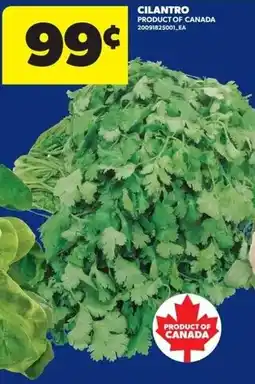 Real Canadian Superstore Cilantro offer