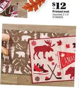 Giant Tiger Printed mat offer