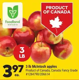 Giant Tiger 3 lb McIntosh apples offer