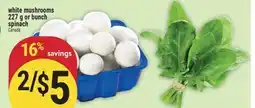 Marché Adonis White mushrooms 227 g or bunch spinach offer