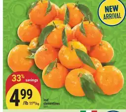 Marché Adonis Leaf clementines offer