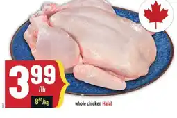 Marché Adonis whole chicken Halal offer