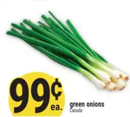 Marché Adonis GREEN ONIONS offer
