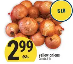 Marché Adonis YELLOW ONIONS offer
