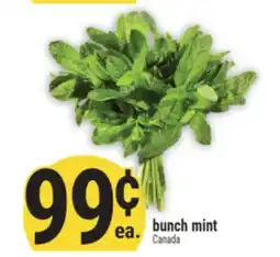 Marché Adonis BUNCH MINT offer