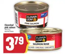 Marché Adonis CLOVERLEAF PINK SALMON offer