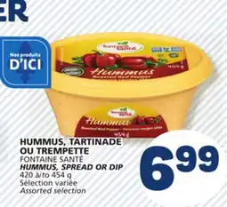 Marché Bonichoix FONTAINE SANTÉ HUMMUS, SPREAD OR DIP offer
