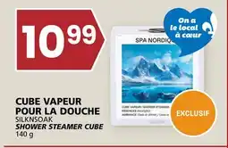 Rachelle-Bery Grocery SILKNSOAK SHOWER STEAMER CUBE offer
