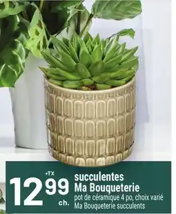 Metro SUCCULENTES MA BOUQUETERIE | MA BOUQUETERIE SUCCULENTS offer