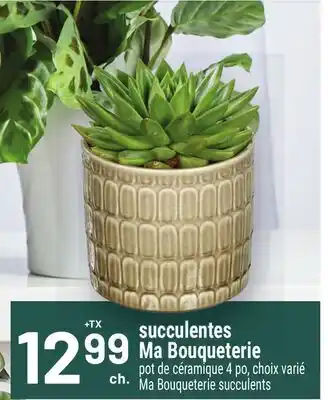 Metro SUCCULENTES MA BOUQUETERIE | MA BOUQUETERIE SUCCULENTS offer